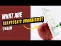 Transgenic Organisms and Their Impact on Science and Society