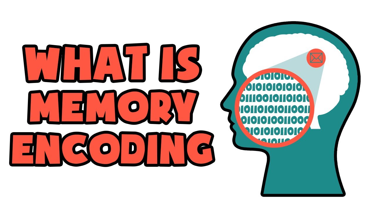 How exactly does binary code work? - José Américo N L F de Freitas