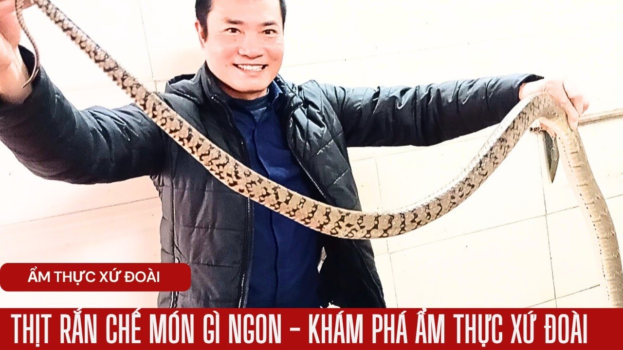 THỊT RẮN LÀM MÓN GÌ NGON - THỊT RẮN XÀO LĂN - THỊT RẮN CUỐN NEM - CHÁO ...