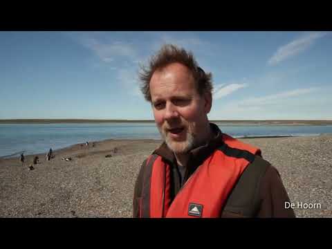 Video: Regionaal centrum voor toerisme-ecologie en lokale geschiedenis in Stavropol - hier leren ze van de natuur te houden