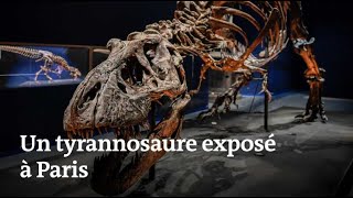 Voici à quoi ressemble le squelette de tyrannosaure exposé au Jardin des plantes de Paris