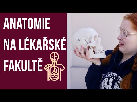 Video: Co je to anatomie matice?