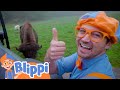 Blippi Visits the Wildlife Park - Learn About Animals! | Animals for Kids | Blippi