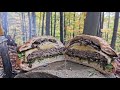 #чизбургеркаксмыслжизни Лучший чизбургер ! 🍔 Приготовление в лесу. | The best cheeseburger ! 🍔