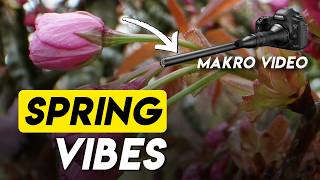 👉 These Macro Flowers Will Instantly Relax You 🌸 #asmr  Nature screenshot 3