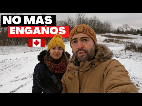 Video: La vida en el extranjero: las ventajas de Canadá