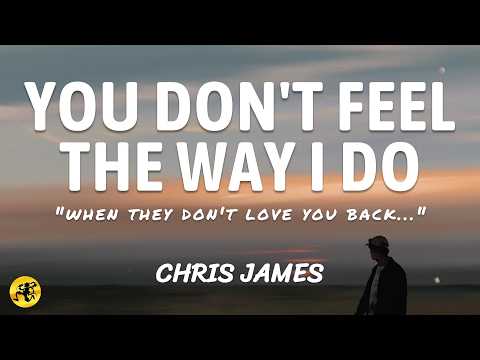 You Don't Feel The Way I Do - Chris James (Lyrics) | Indie Pop