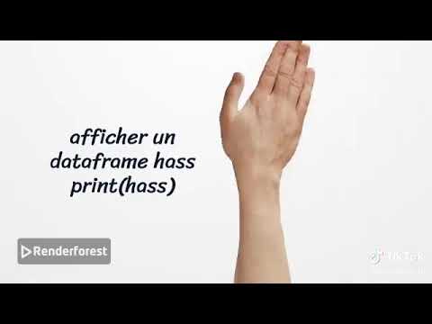 revision bac eco 2026 : pratique pandas