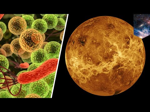 فيديو: ميكروبات من كوكب الزهرة