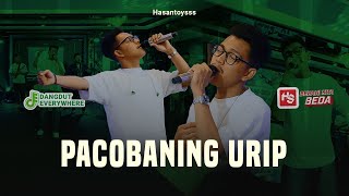Pacobaning Urip - Hasantoysss (Official Live Music)
