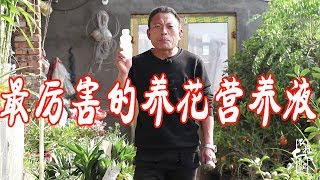 最厉害的养花营养液：给花喝一勺，土壤疏松像蛋糕，花开不停！【农村养花匠】