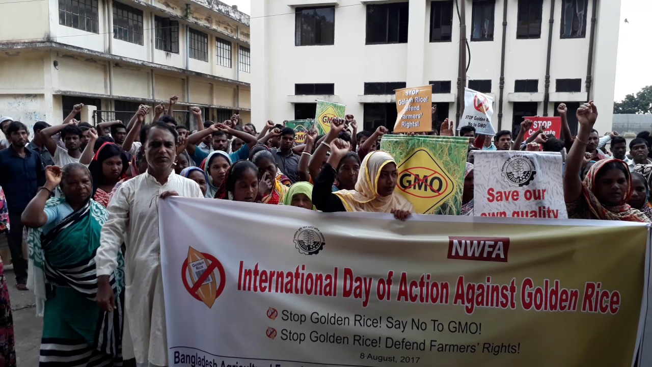 Golden Rice Protest BAFLF and NWFA protest action against Golden Rice. - YouTube