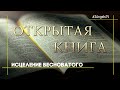 Исцеление бесноватого #1428 | Открытая Книга