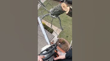 Over a house #rigging #treework #climber