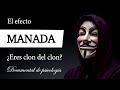 EL EFECTO MANADA (Documental de Psicología) - ¿Por qué nos entregamos al COMPORTAMIENTO GREGARIO?