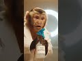 Who needs a real doctor 😂💉✨ #MonkeyMakeover #GlowUp #PetSpa #ComedyGold #ViralFun