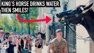 HORSE GET WATER & RUBBED DOWN IN SCORCHING HEAT FOR 8 MINS | Horse Guards, Royal guard, Kings Guard