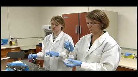 Virginia Tech: Testing Water Quality