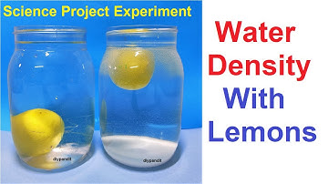 Working model on Density (Water Density Experiments with lemon)  - Science project  | diypandit