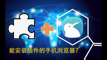 一款能安装插件的安卓浏览器-kiwi browser介绍-让crx插件在手机上应用吧！