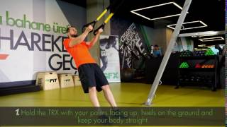 TRX Reverse Grip Row