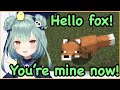 【ENG SUB】The adventure of Rushia and Konta the fox