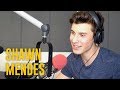 Shawn Mendes Talks 'In My Blood,' Fan Conspiracies And More!