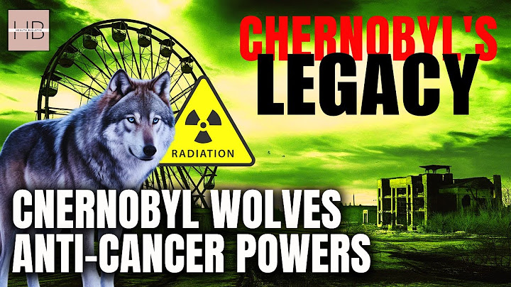 Chernobyl Wolves Develop Anti-Cancer Abilities: The Key to Beating Cancer?