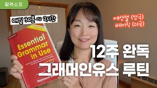 그래머인유스 12주 완독 루틴 (매일 30분~2시간)
