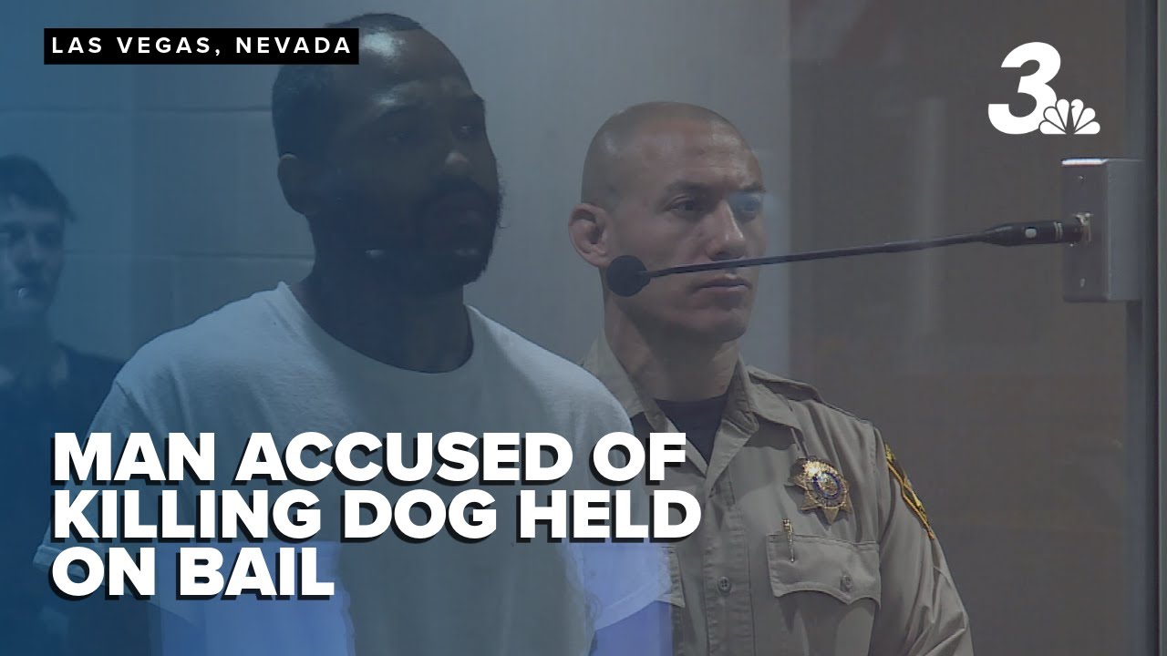 Las Vegas man accused of shooting, killing dog held on $263K bail - YouTube