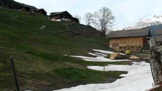 Water Trough, Gimmelwald