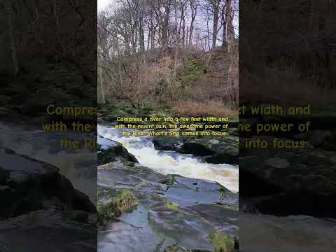 While Walking today in the wind and rain the sheer power of Wharfe's Srid was evident. #donotjump