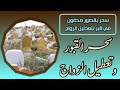 سحر بالصور مدفون في قبر لتعطيل الزواج وتشويه الجمال محمد وكيل