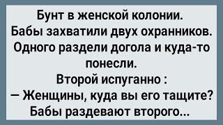 Бунт в Женской Колонии! Сборник Свежих Анекдотов! Юмор!