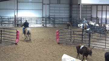 Ridin The Short Bus - Lil Peppy Kate - sorting practice 2 - Valley View Ranch