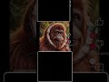 Orangudini