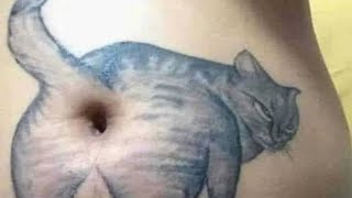 关于居家解决猫尿闭(小猫不袅袅咋办)