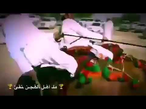ماشاءالله مصيحه