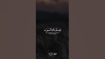 قل إن تخفوا ما في صدوركم أو تبدوه يعلمه الله || القارئ إسلام صبحي 🌿☁️