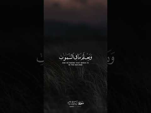 قل إن تخفوا ما في صدوركم أو تبدوه يعلمه الله القارئ إسلام صبحي