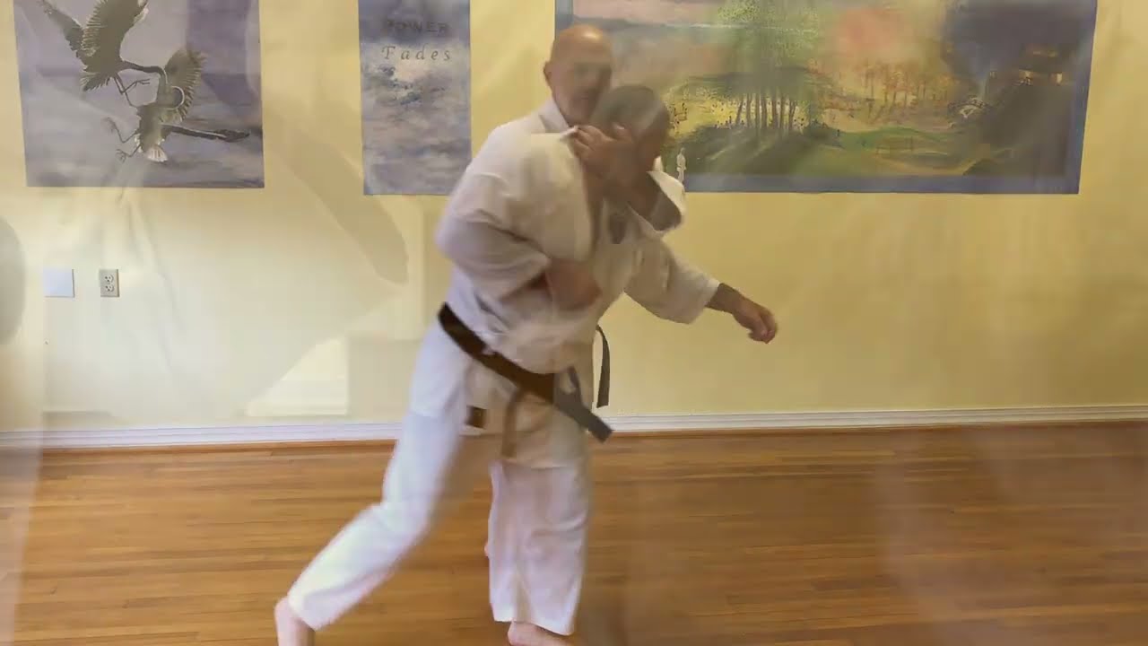 Video - Mountain Karate