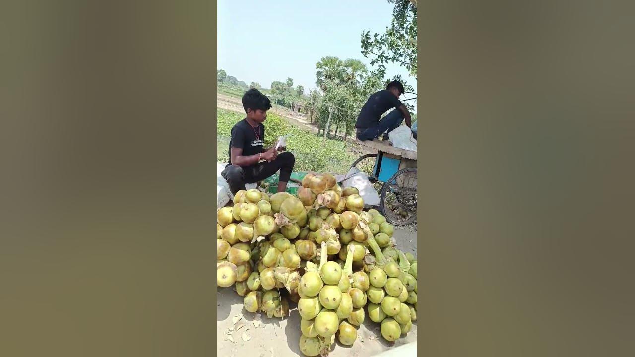 Ye konsa fruit 🍑🍓? haiytshorts YouTube