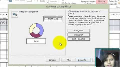 18  BOTONES DE ACCESS