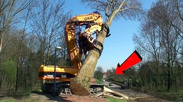 Extremely Dangerous Tree Felling Fails, Crane and Logging Trucks Go Wrong ! #31