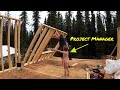 Debt free living cabin build | Walls