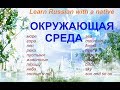 № 81 Русский с нуля : ПРИРОДА: море, гора, лес, небо.....