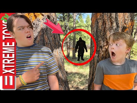 Did We Find