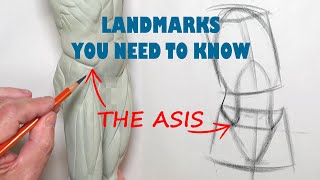 Important Landmarks in Figure Drawing #1 The ASIS