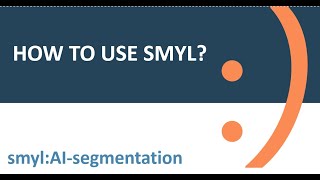 smyl:AI-segmentation