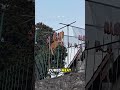 The "Bacon Bandit" on the Fence: A Cat That Drew a Crowd 📱🐱 #shortvideo